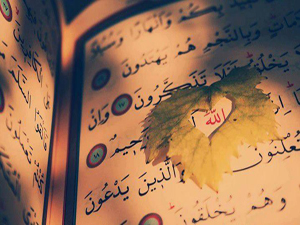 İşte biz mü'minleri böyle kurtarırız