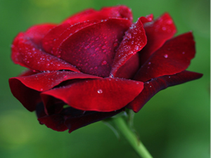 Orucu hurma ile açın, hurma yoksa...