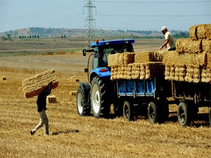 Doğu, traktör satışında batıyı geçti