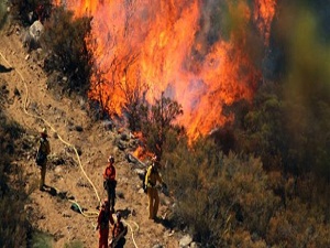 Kaliforniya cayır cayır