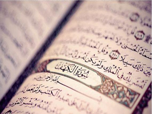 Onlar bize derin saygı duyan kimselerdi