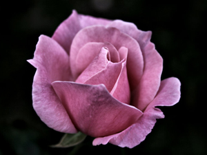 Oruçlu, yalanı ve yalanla iş yapmayı terk etmezse