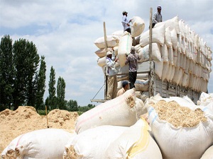 Yem ve saman fiyatları üreticiyi üzmeyecek