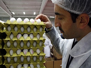 Yumurta sepeti ihracatçının elinde kaldı, fiyatlar düşüyor
