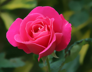 Oruç tut, çünkü oruca denk bir ibadet yoktur