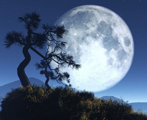 Bediüzzaman'ın bu sözü bana çok poetik gelmiştir