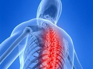 Vücudun 'öksüz' organı