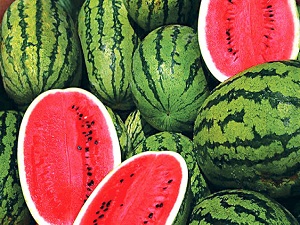 Yerlisi çıkınca karpuzun fiyatı düştü