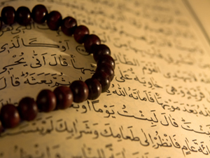 İnkâr edenlerin gözleri açılıp donakalmıştır