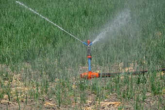 Tarım arazilerinde sulama ücretleri düşürüldü