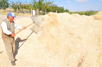 Geçen yılın zam şampiyonu saman çiftçileri sevindirdi