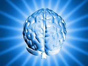 Beyin ölüm anında aşırı derecede uyarılıyor