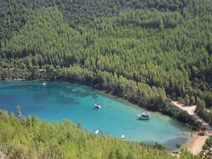 'Türkiye sit haritası' ile mağduriyet kalkacak