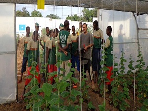 Türkiye'den Somali'de tarım faaliyetlerine destek