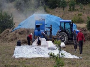Ordu'lu çiftçi yiyecek maliyetini böyle düşürdü