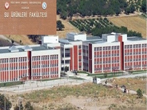 Karşılıksız burs vaadetti ama 1 kişi tercih etti