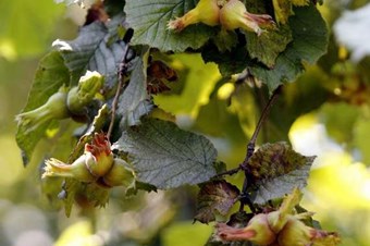 Onların yüzü 2013 yılında güldü