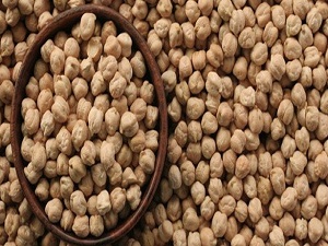 TÜİK: Kütahya, nohut üretiminde Ege'de ikinci sırada