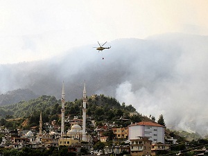 Hatay'da 700 hektarlık orman zarar gördü