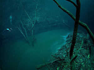 Okyanusun altındaki sualtı nehri