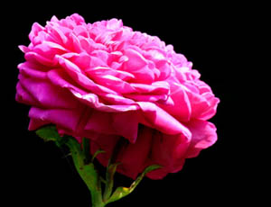 Duaların en hayırlısı Arefe gününde yapılandır