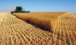 ‘Dünyada tarım dört firmanın tekelinde’