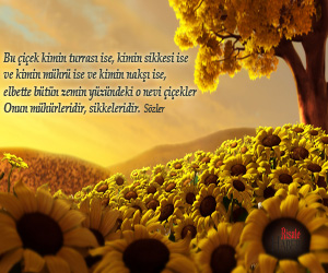 Risale-i Nur'dan vecizeli duvar kağıdı