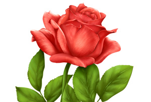 Yatağa girdiğiniz zaman 33 defa şöyle deyin