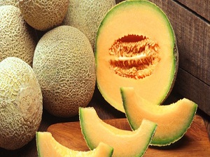 Türkiye'de ilk kavun hasadı orada başladı