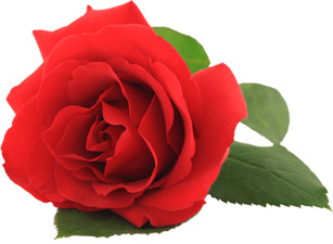 Birbirinize karşı öylesine alçak gönüllü olun ki