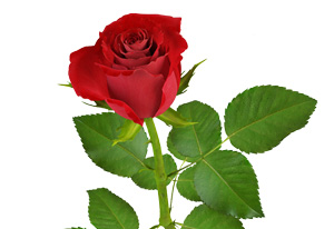 Kim işlediği hayrı şöhret için halka duyurursa