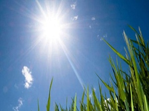 Halı yıkamak için de şemsiye almak için de meteorolojiyi arıyorlar