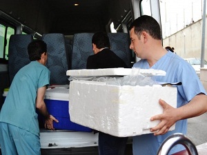 Yurt dışında organ nakli Türkiye'den 4 kat daha pahalı