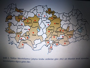 Bakanlık, asbest haritası çıkardı, bin 683 köyde 90 bin kişiye ulaşacak
