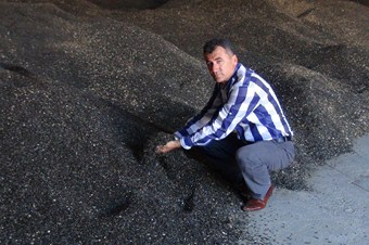 Ayçiçeği fiyatı düştü çiftçi tedirgin