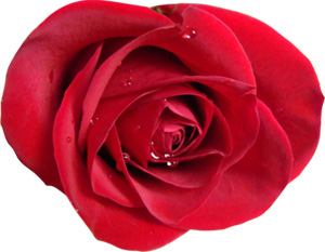 Resulullah hapşıran iki kişiden birine cevap vermedi