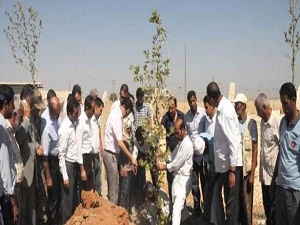 Akçakale'de çadır kente 10 bin fidan dikilecek