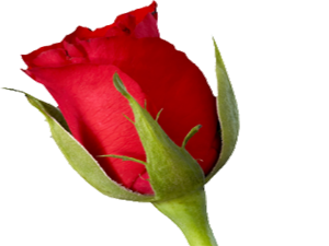 Allah o topluluğu yanında bulunanlara över