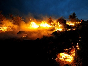 Bakan'dan orman yangını uyarısı