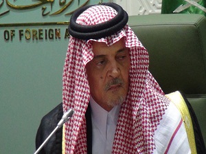 Suudi bakandan AB'ye Mısır eleştirisi