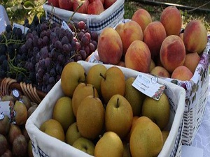 Dünyanın meyve ambarı Türkiye oldu