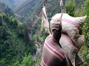 Üretici fındığını ilkel teleferiklerle taşıyor
