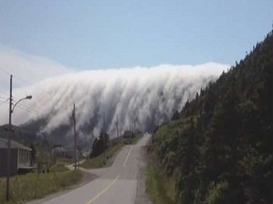 Tüyleri ürperten görüntü