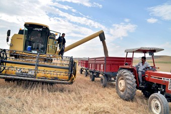 OECD: Türk tarımı dünya yedincisi