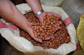 Fiskobirliğin önünde kimse duramayacak