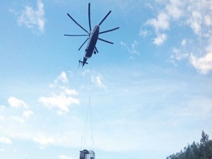 Ayılara havadan tahliye