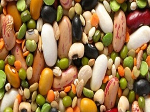 Kuru baklagil ölümcül hastalıklardan koruyor