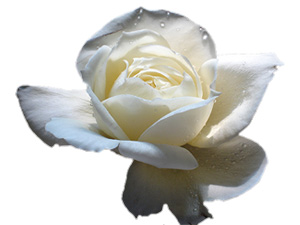 Şüpheliyi bırak, şüphe vermeyene bak