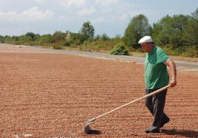 Fındık üreticileri, lisanslı depoları tercih etti