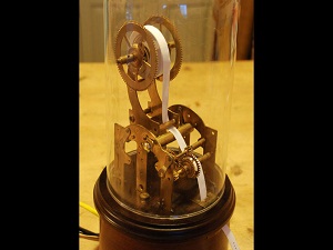 Telgrafın tellerine Twitter kuşu kondu